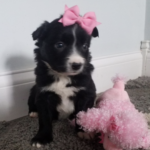 Little One